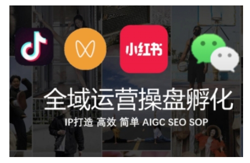 全域运营操盘(抖音+私域+小红书)，IP打造高效简单 - 阿伟资源库-阿伟资源库