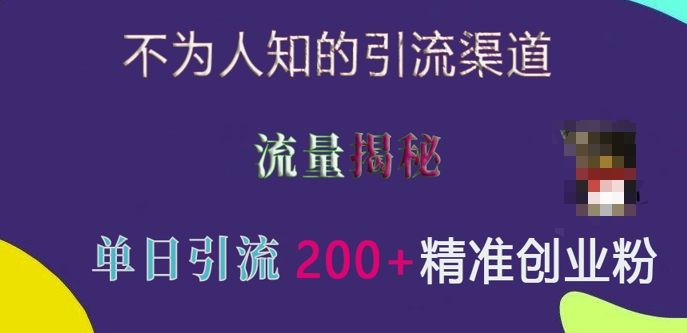 不为人知的引流渠道，流量揭秘，实测单日引流200+精准创业粉【揭秘】 - 阿伟资源库-阿伟资源库