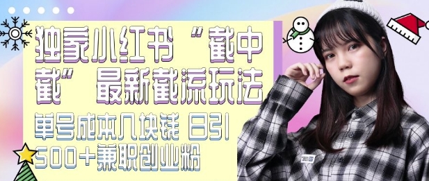 最新小红书截流玩法 独家截中截 单号成本几块钱 日引500+CY粉JZ粉 - 阿伟资源库-阿伟资源库