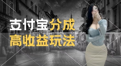 支付宝分成计划新玩法，利用交通事故视频，赚收益，轻松月入过W，操作简单【揭秘】 - 阿伟资源库-阿伟资源库