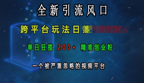 全新引流风口，跨平台玩法日入上k，单日狂揽200+精准创业粉，一个被严重忽略的视频平台 - 阿伟资源库-阿伟资源库