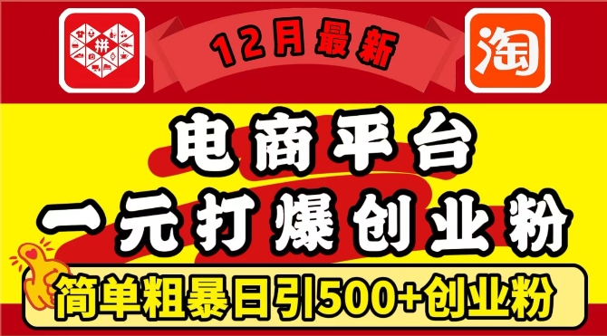 12月最新：电商平台1元打爆创业粉，简单粗暴日引500+精准创业粉，轻松月入过W【揭秘】 - 阿伟资源库-阿伟资源库