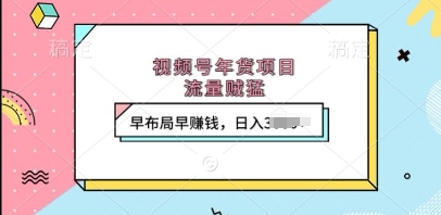 视频号年货项目，流量贼猛，早布局早挣钱，日入上k【揭秘】 - 阿伟资源库-阿伟资源库