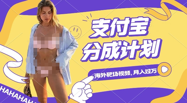 利用海外靶场射击视频，挣支付宝分成收益，轻松月入过W【揭秘】 - 阿伟资源库-阿伟资源库