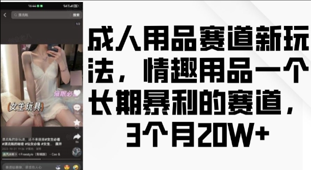 成人用品赛道新玩法，情趣用品一个长期暴利的赛道，3个月收益20个【揭秘】 - 阿伟资源库-阿伟资源库