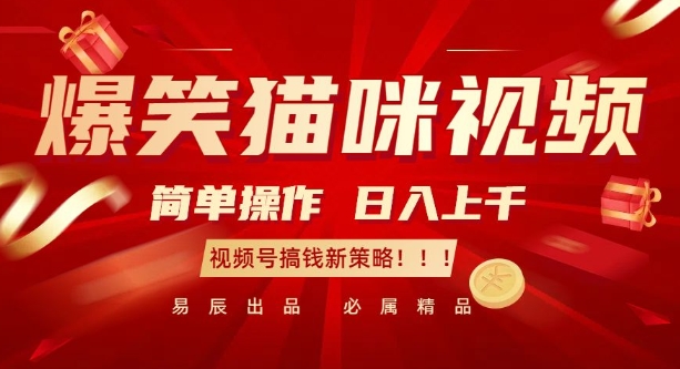 爆笑猫咪视频：简单操作，日入过K，视频号搞钱新策略【揭秘】 - 阿伟资源库-阿伟资源库