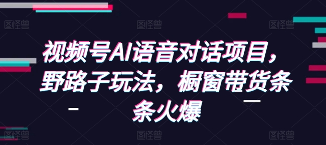 视频号AI语音对话项目，野路子玩法，橱窗带货条条火爆 - 阿伟资源库-阿伟资源库