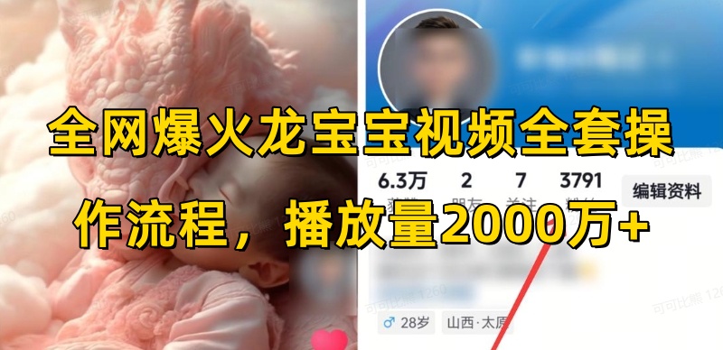 全网爆火龙宝宝视频全套操作流程，播放量2000万+ - 阿伟资源库-阿伟资源库