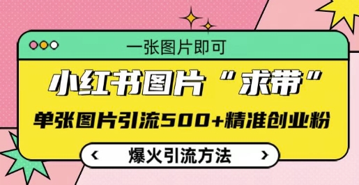 小红书图片‘求带’爆火引流法，单张图片引流500+精准创业粉【揭秘】 - 阿伟资源库-阿伟资源库