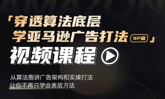 穿透算法底层，学亚马逊广告打法SP篇，从算法侧讲广告架构和实操打法，让你不再只学会表层方法 - 阿伟资源库-阿伟资源库