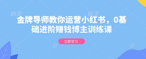 金牌导师教你运营小红书，0基础进阶赚钱博主训练课 - 阿伟资源库-阿伟资源库