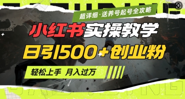 2月小红书最新日引500+创业粉实操教学【超详细】小白轻松上手，月入1W+，附小红书养号起号SOP - 阿伟资源库-阿伟资源库