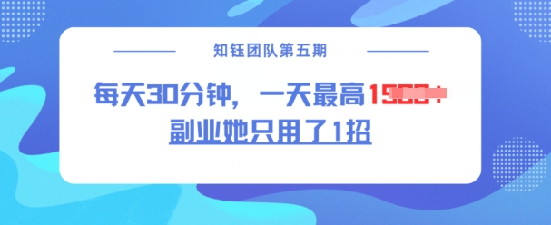 副业她只用了1招，每天30分钟，无脑二创，一天最高1.5k - 阿伟资源库-阿伟资源库