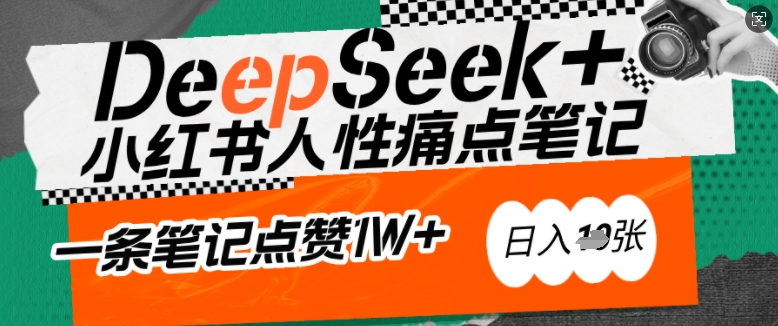 AI赋能小红书爆款秘籍：用DeepSeek轻松抓人性痛点，小白也能写出点赞破万的吸金笔记，日入多张 - 阿伟资源库-阿伟资源库
