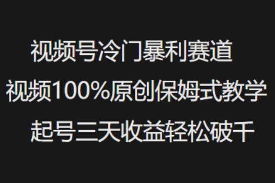 视频号冷门暴利赛道视频100%原创保姆式教学起号三天收益轻松破千 - 阿伟资源库-阿伟资源库
