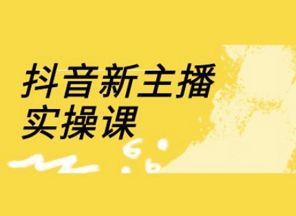 抖音新主播实操课，直播间流量运营线上实操课(18节) - 阿伟资源库-阿伟资源库