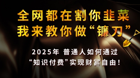 全网都在割你韭菜，我来教你做镰刀，2025普通人如何通过知识付费，实现财F自由【揭秘】 - 阿伟资源库-阿伟资源库