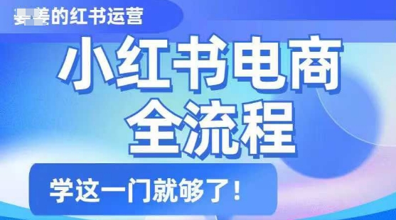 小红书电商全流程，精简易懂，从入门到精通，学这一门就够了 - 阿伟资源库-阿伟资源库