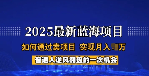 2025蓝海项目，普通人如何通过卖项目，实现月入过W，全过程【揭秘】 - 阿伟资源库-阿伟资源库